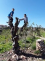 תמונה ממוזערת לגרסה מתאריך 01:59, 9 במרץ 2019