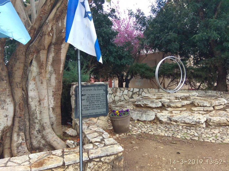 קובץ:2019.03.14-145330.271.android.jpg