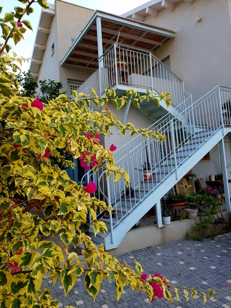 קובץ:20190909 180511.jpg