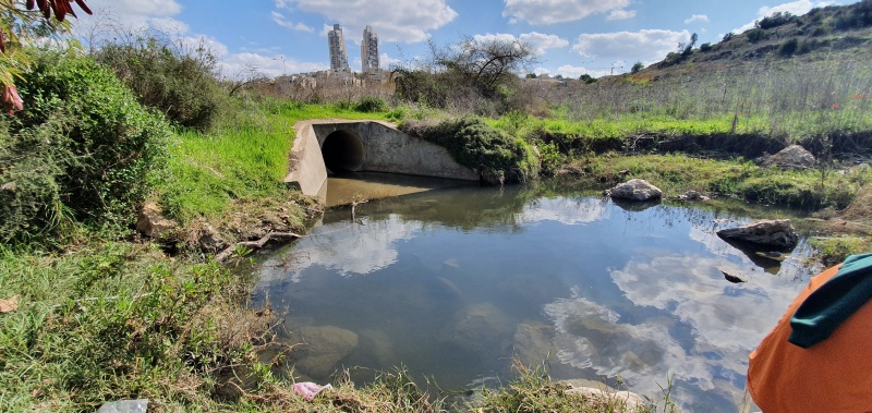 קובץ:2020-02-21T13 22 06.676433830476.jpg