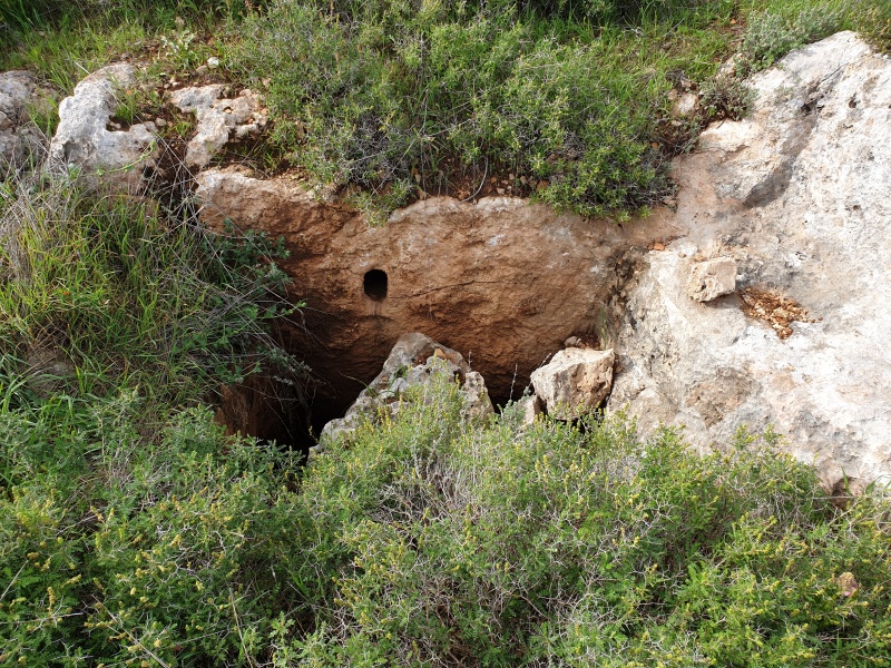 קובץ:2020-03-07T15 15 32.702808908316.jpg