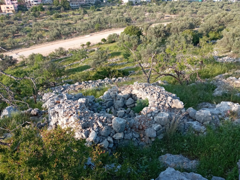 קובץ:2020-04-12T18 06 26.112713588346.jpg