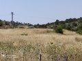 תמונה ממוזערת לגרסה מתאריך 07:15, 18 במאי 2020