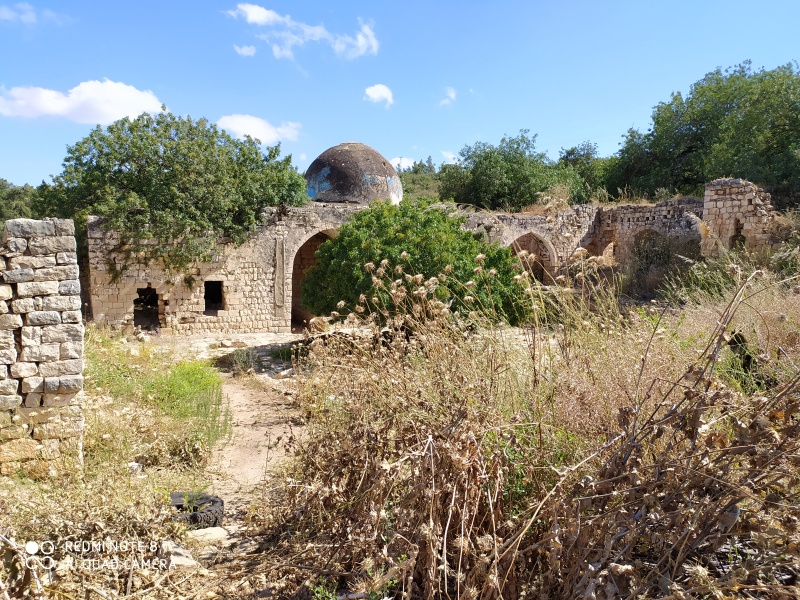 קובץ:2020-05-23T15 44 46.230784362016.jpg