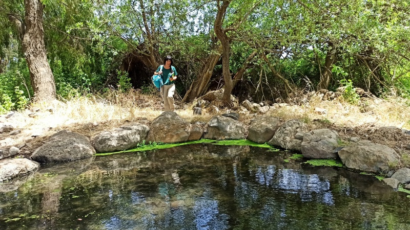 קובץ:2020-06-02T13 51 02.250397802067.jpg