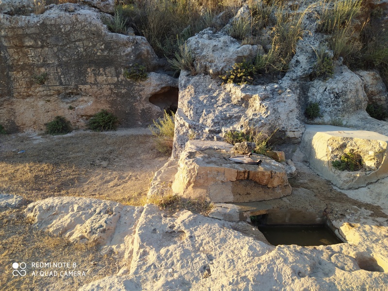 קובץ:2020-06-26T19 04 32.285123211049.jpg