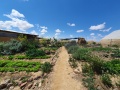 תמונה ממוזערת לגרסה מתאריך 21:48, 7 ביולי 2020