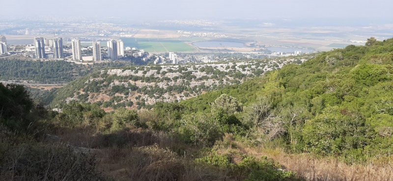 קובץ:2020-07-11T18 13 22.168500220267.jpg