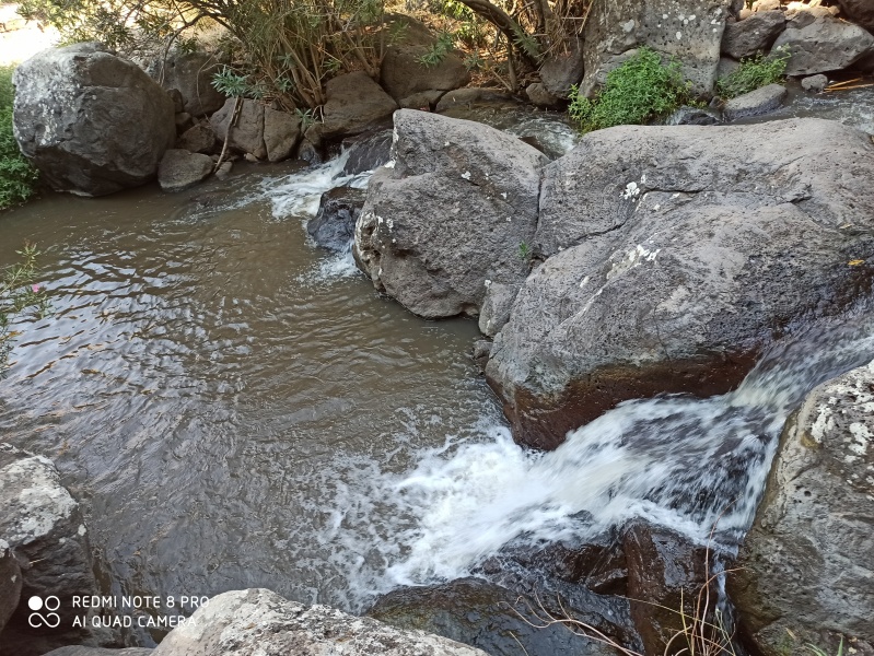 קובץ:2020-08-07T16 22 31.771675629133.jpg