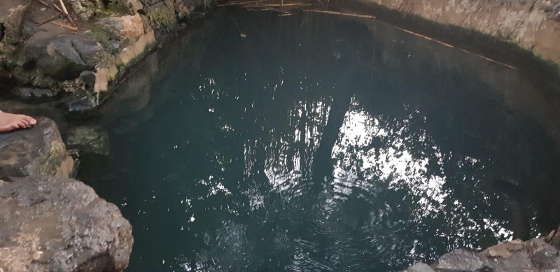 קובץ:2020-08-18T19 53 40.172742852648.jpg