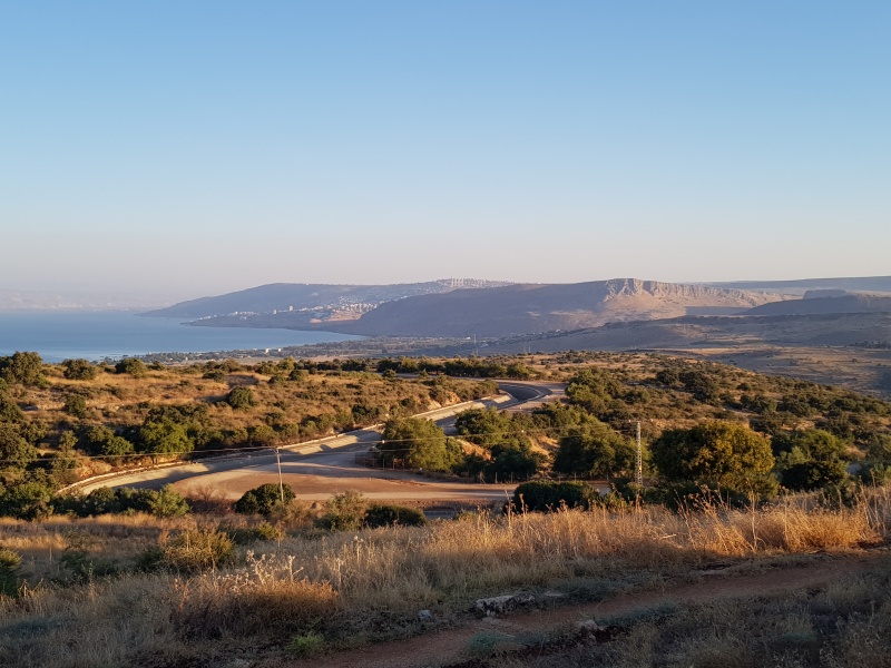 קובץ:2020-08-23T18 33 29.176266336980.jpg