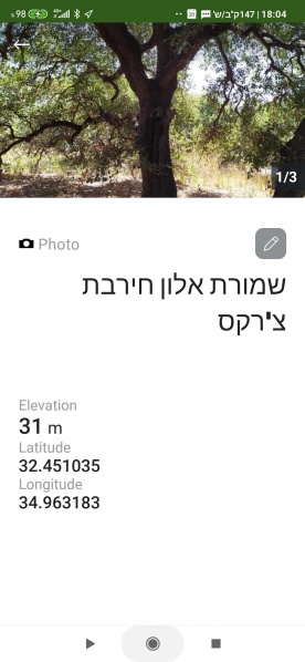 קובץ:2020-08-25T08 10 03.761395131944.jpg