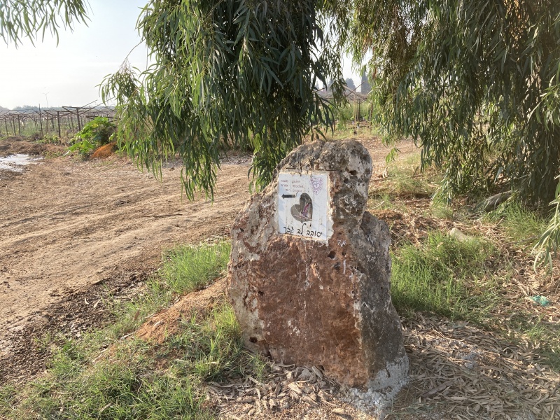 קובץ:2020-09-18T08 20 00.611200952576.jpg