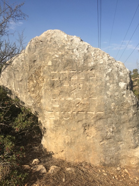 קובץ:2020-10-09T09 04 33.510090472701.jpg