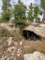 תמונה ממוזערת לגרסה מתאריך 08:59, 7 בנובמבר 2020