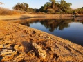 תמונה ממוזערת לגרסה מתאריך 13:44, 18 בנובמבר 2020