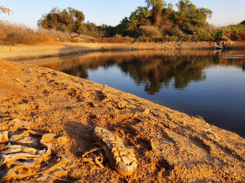 קובץ:2020-11-18T15 59 52.672338675953.jpg