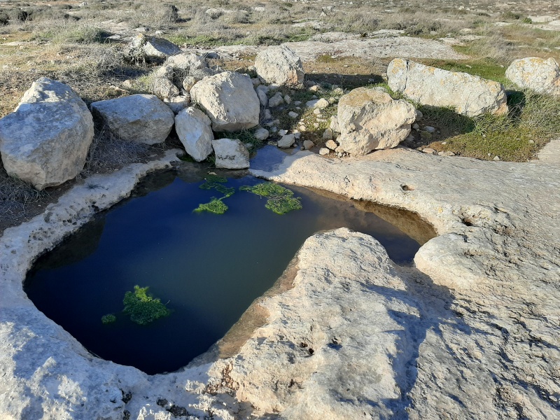 קובץ:2021-01-21T15 40 01.386239217277.jpg