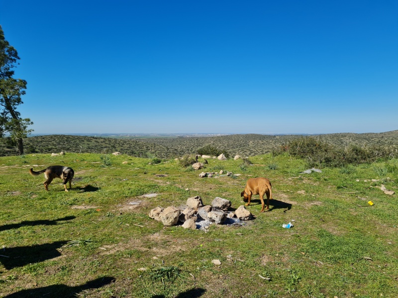 קובץ:2021-01-23T12 00 00.414670236875.jpg