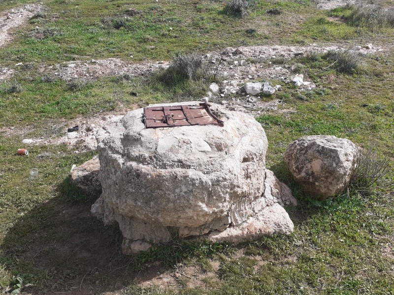 קובץ:2021-02-02T12 14 53.76749245354.jpg