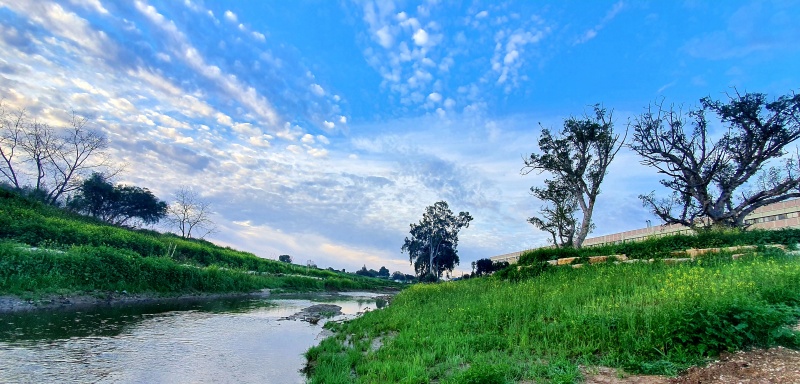 קובץ:2021-02-09T11 08 06.679028145120.jpg