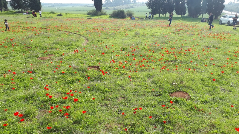 קובץ:2021-02-12T14 42 50.475395652078.jpg