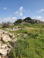 תמונה ממוזערת לגרסה מתאריך 09:03, 13 בפברואר 2021