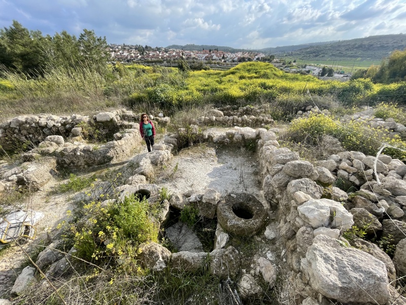 קובץ:2021-03-03T15 46 52.50576337182.jpg