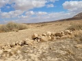 תמונה ממוזערת לגרסה מתאריך 09:25, 6 במרץ 2021