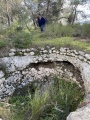 תמונה ממוזערת לגרסה מתאריך 13:39, 5 במרץ 2021