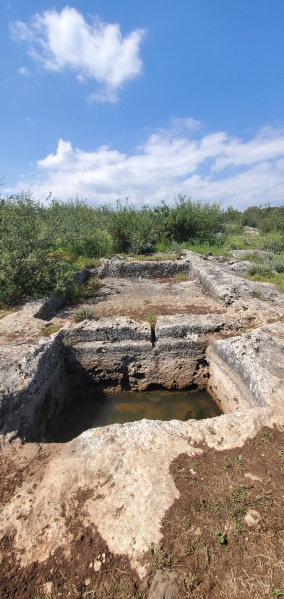 קובץ:2021-03-28T11 38 47.606217612493.jpg