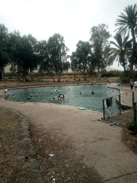 קובץ:2021-06-06T00 53 48.150828547808.jpg