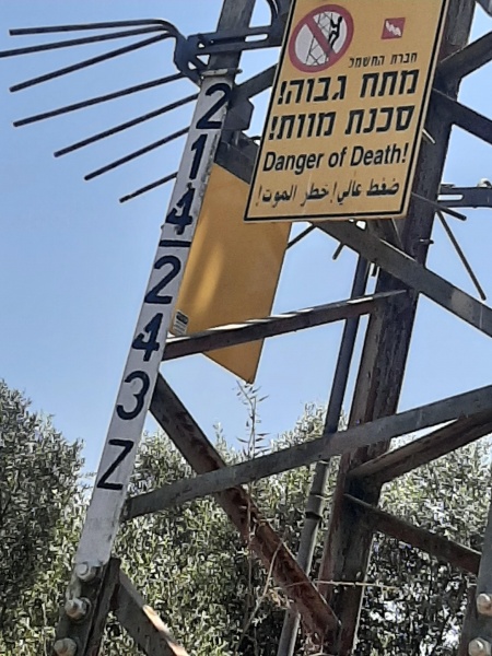 קובץ:2021-07-18T13 14 31.965390528281.jpg