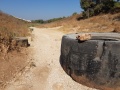 תמונה ממוזערת לגרסה מתאריך 07:48, 17 בספטמבר 2021