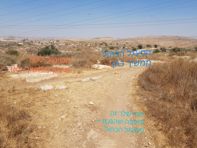 קובץ:2021-08-02T14 24 24.892985674515.jpg