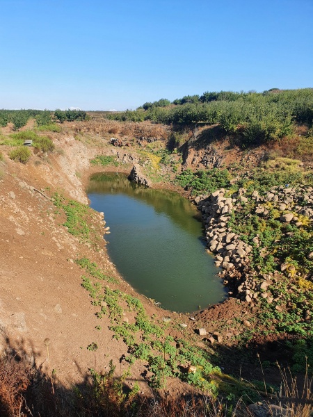 קובץ:2021-08-17T09 04 44.037953706220.jpg