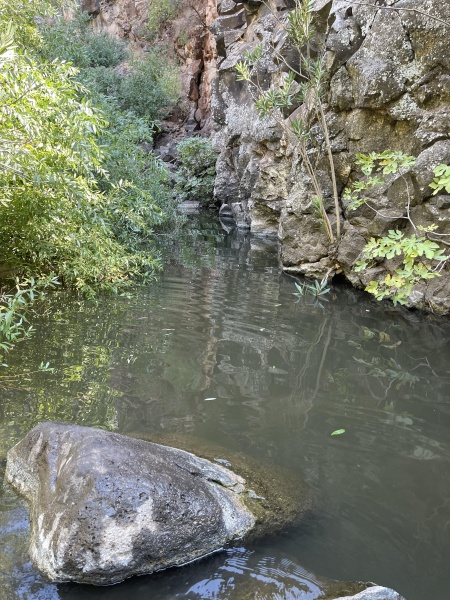 קובץ:2021-08-24T17 52 59.129431580965.jpg