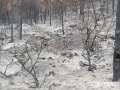 תמונה ממוזערת לגרסה מתאריך 16:07, 27 באוגוסט 2021