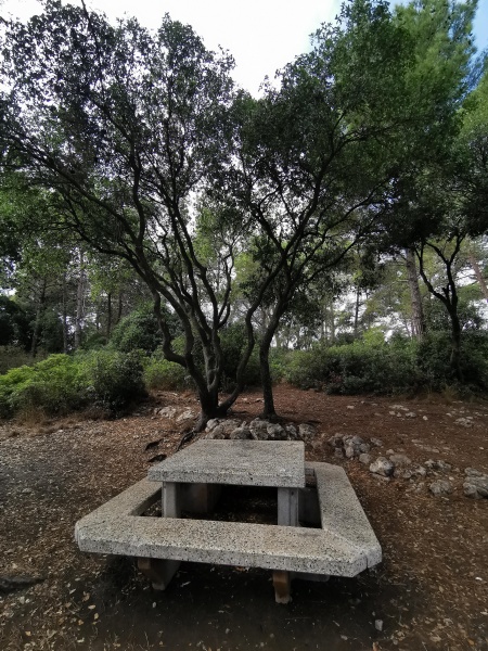 קובץ:2021-09-27T10 02 17.919816399986.jpg