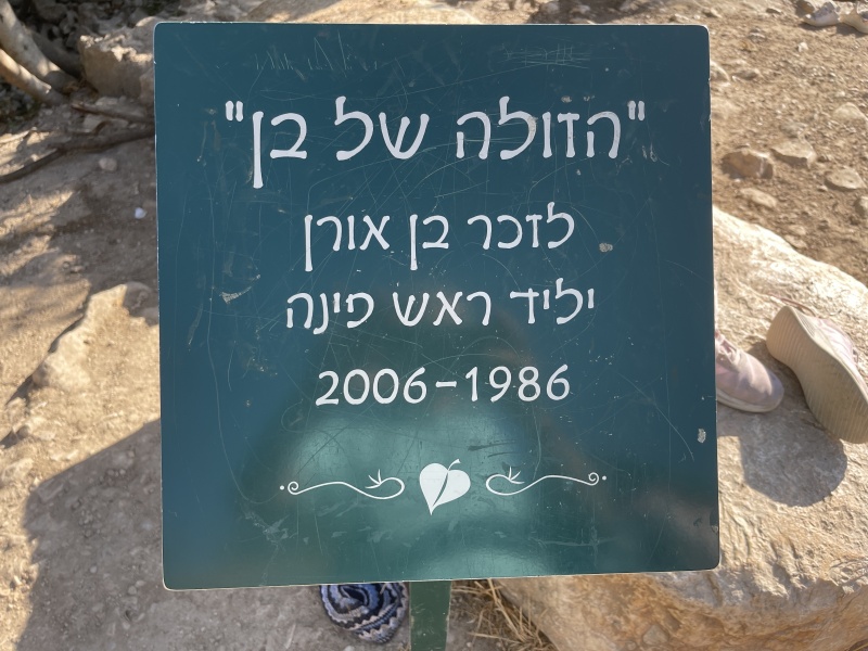 קובץ:2021-10-16T15 23 23.688660330525.jpg