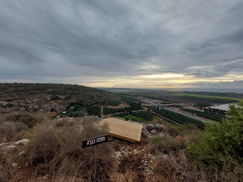 קובץ:2021-11-20T15 43 00.002891941600.jpg