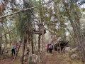 תמונה ממוזערת לגרסה מתאריך 11:44, 4 בדצמבר 2021