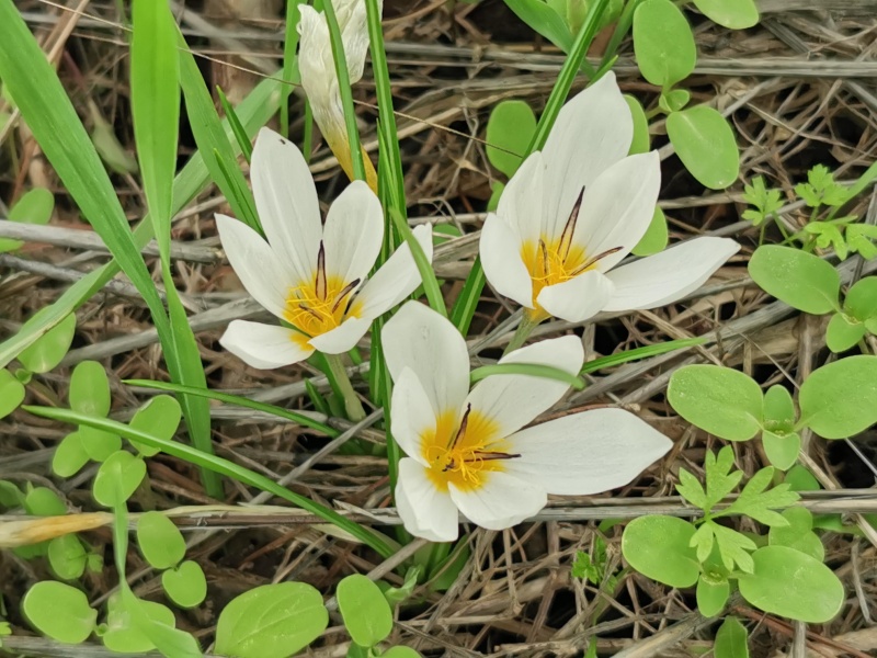 קובץ:2021-12-12T12 53 50.700658541647.jpg