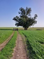 תמונה ממוזערת לגרסה מתאריך 12:02, 11 בינואר 2022