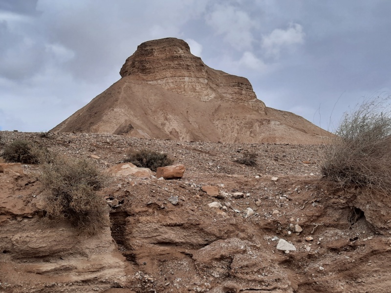 קובץ:2022-02-05T18 01 55.337105188973.jpg