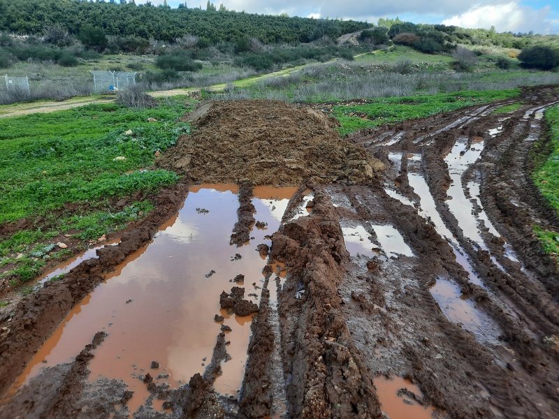 קובץ:2022-02-10T12 34 36.78605996602.jpg