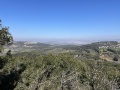 תמונה ממוזערת לגרסה מתאריך 08:59, 12 בפברואר 2022