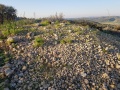 תמונה ממוזערת לגרסה מתאריך 10:37, 13 בפברואר 2022