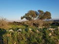 תמונה ממוזערת לגרסה מתאריך 07:08, 14 בפברואר 2022