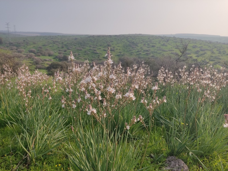 קובץ:2022-02-24T11 24 54.784092254879.jpg